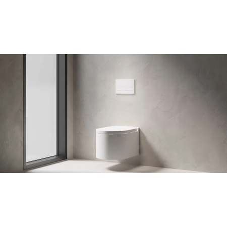 Кнопка смыва 274х39х187 см SALINI PURO 30P2MST2S2M**** RAL Кнопка смыва 274х39х187 см SALINI PURO 30P2MST2S2M**** RAL